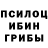 Псилоцибиновые грибы ЛСД Dom Michur