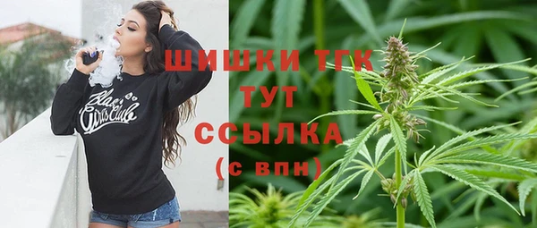 гидра Алексеевка