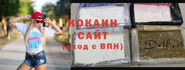 прущий лед Алзамай