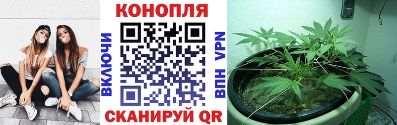blacksprut зеркало  Курск  Шишки марихуана Bruce Banner 